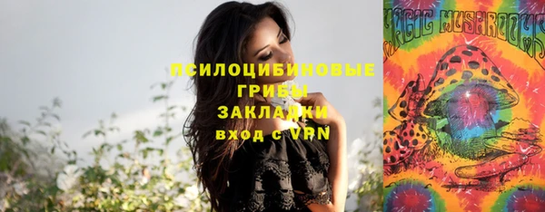 каннабис Алзамай