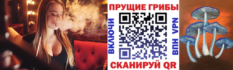 darknet какой сайт Туймазы Псилоцибиновые грибы ЛСД